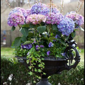 Meet your Posher, Sondra